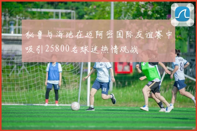 秘鲁与海地在迈阿密国际友谊赛中吸引25800名球迷热情观战